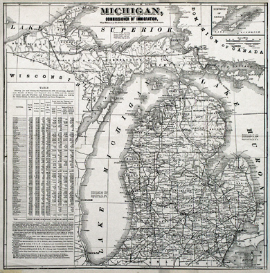 049rare: 1881 Michigan State